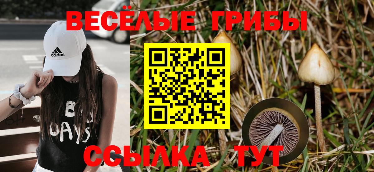 Кольчугино  где купить   Псилоцибиновые грибы MAGIC MUSHROOMS  Вход с VPN  Псилоцибиновые грибы мухоморы 
